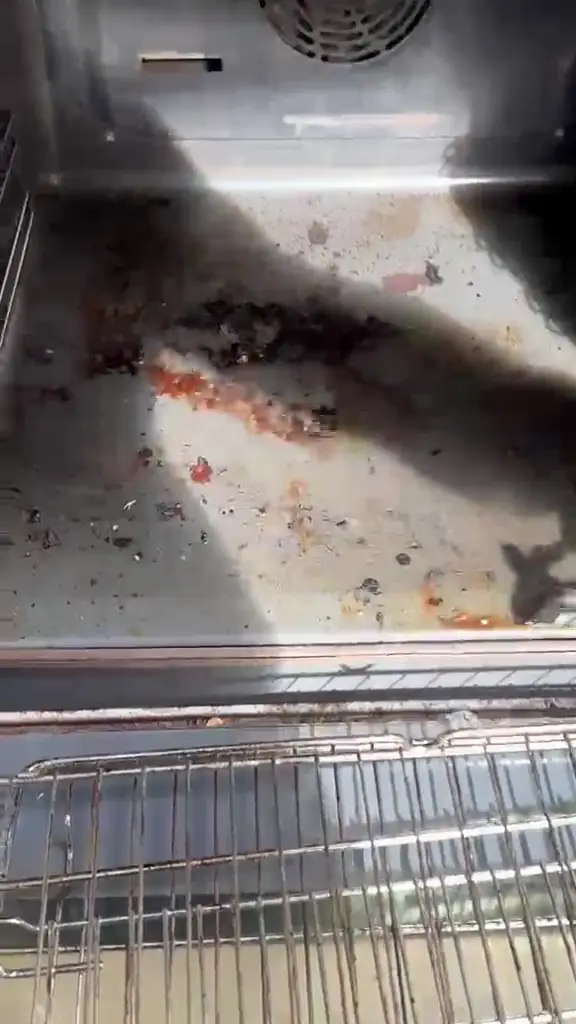 Oven deep clean before cleaning