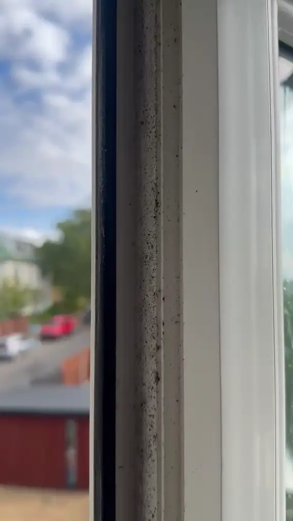 Window frame before detailed cleaning